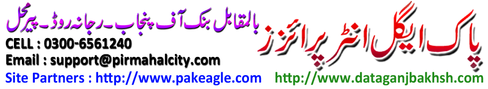 Pak Eagle Enterprises. Opposit Bank Of Punjab, Rajanah Road, Pir Mahal, Cell : 0300-6561240, Email = support@pirmahalcity.com